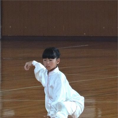「第13回北関東ブロックジュニア大会」 女子ジュニア太極拳1の部で第2位の菜摘ちゃんです。 脚上がるなぁ・・・